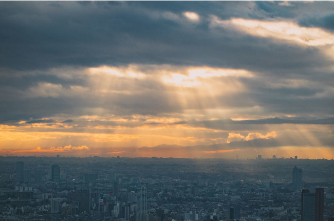 ĩTuXNuSHIBUYA SKY PASSPORTv~\svATڂ̔NԃpX|[g41()̔Jn~