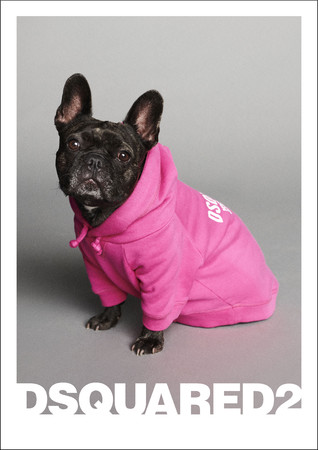 POLDO DOG COUTURE X DSQUARED2 FW21 COLLECTION