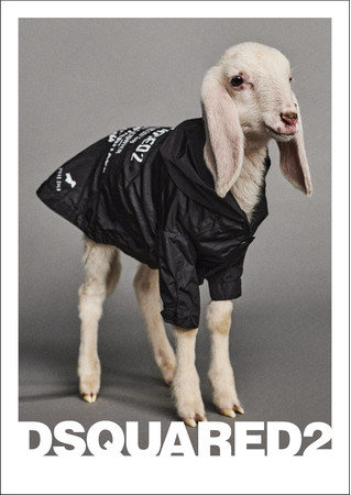 POLDO DOG COUTURE X DSQUARED2 FW21 COLLECTION