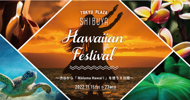 }vUaJHawaiian Festival JÁI`aJu Mlama Hawaii vz9ԁ`1115i΁j1123ijJ