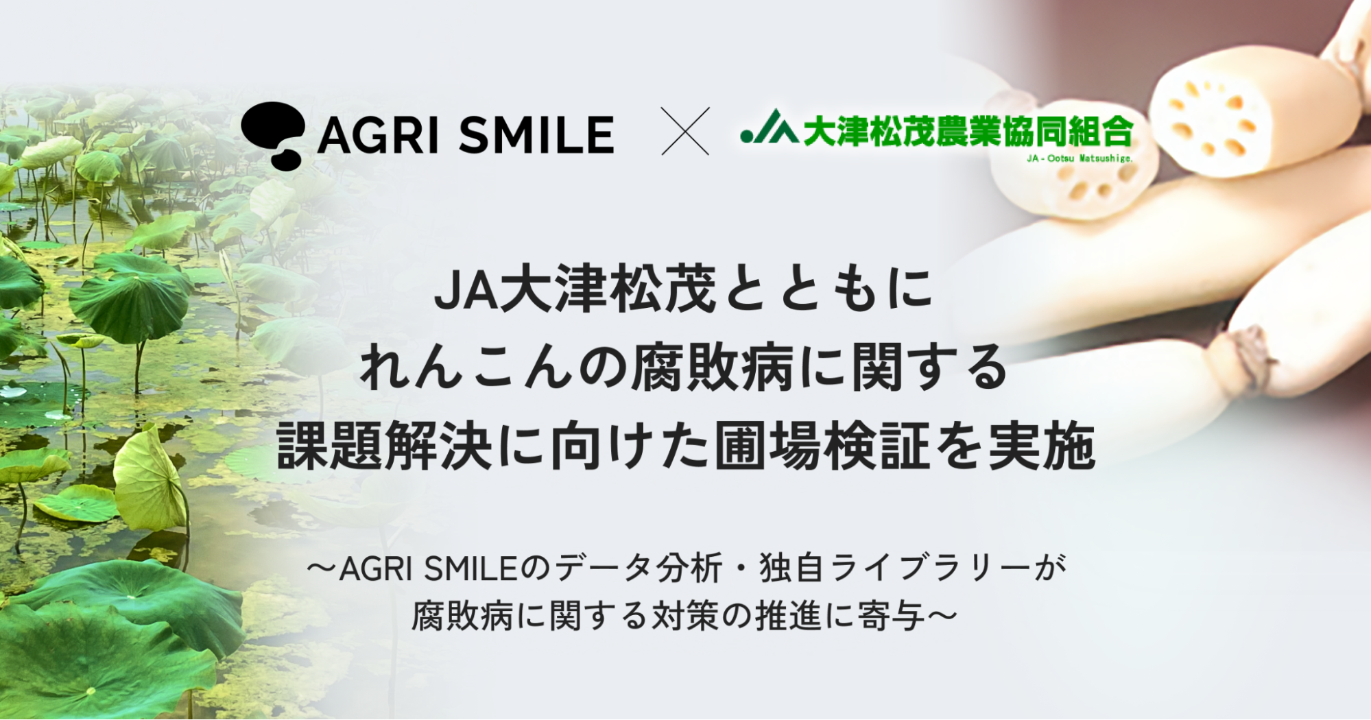 AGRI SMILEJAÏ΁A񂱂̕saɊւۑɌޏꌟ؂{