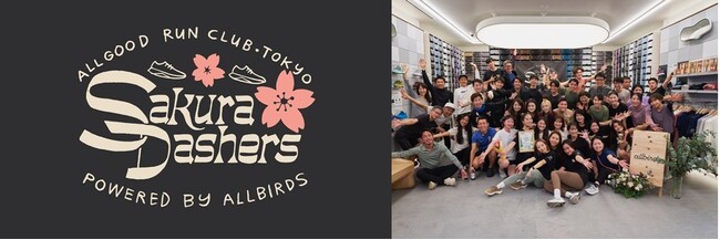 Allbirds̃jOR~jeBuSakura DashersvŔro_YfItZbg