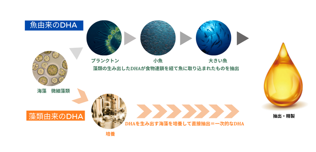 CRDHAICuDHA ORIGINS(TM)-510v 戵Jn