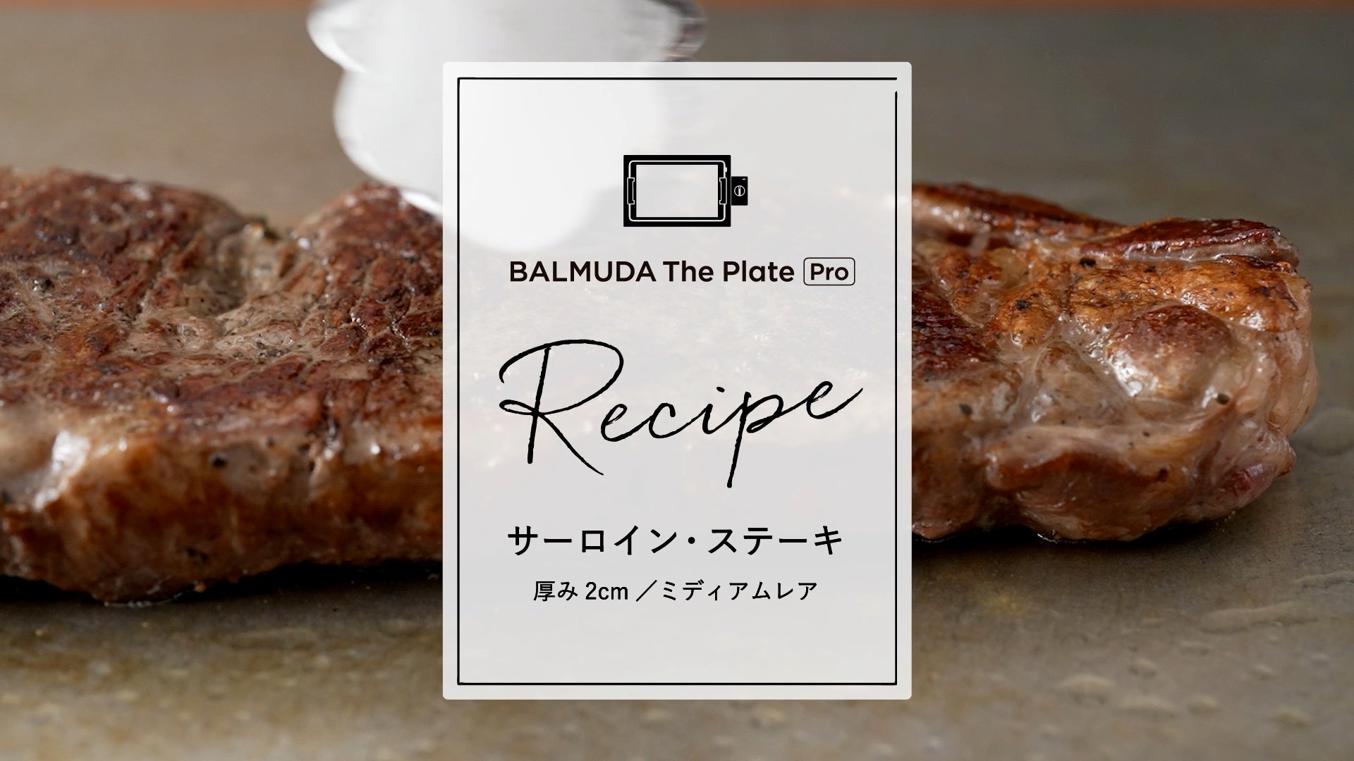 uBALMUDA The Plate Prov̏oב䐔5,000˔j