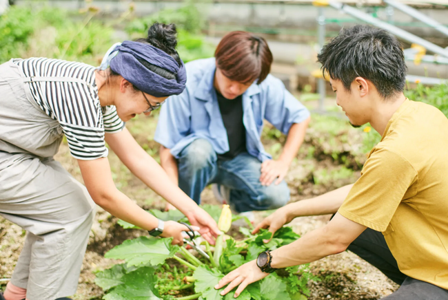 GAIAI/IoTŖ؍͔|KChVFAOIoT_uSAKAE Urban Farming by SOKENv2023N99SAKAE HIROBAsɃvI[v