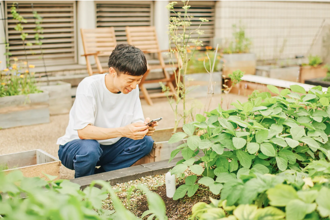 GAIAI/IoTŖ؍͔|KChVFAOIoT_uSAKAE Urban Farming by SOKENv2023N99SAKAE HIROBAsɃvI[v