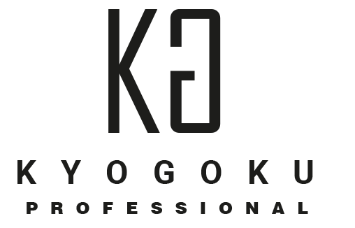 u{SSz`XIyCyCW{vLy[KYOGOKU PROFESSIONALłII