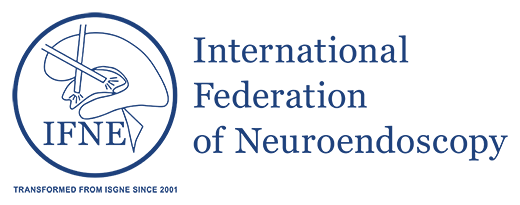 WpEfBJEJpj[uIFNE 10th World Congress of Neuroendoscopy iE_oA 10񐢊E_owjvɂă`Z~i[