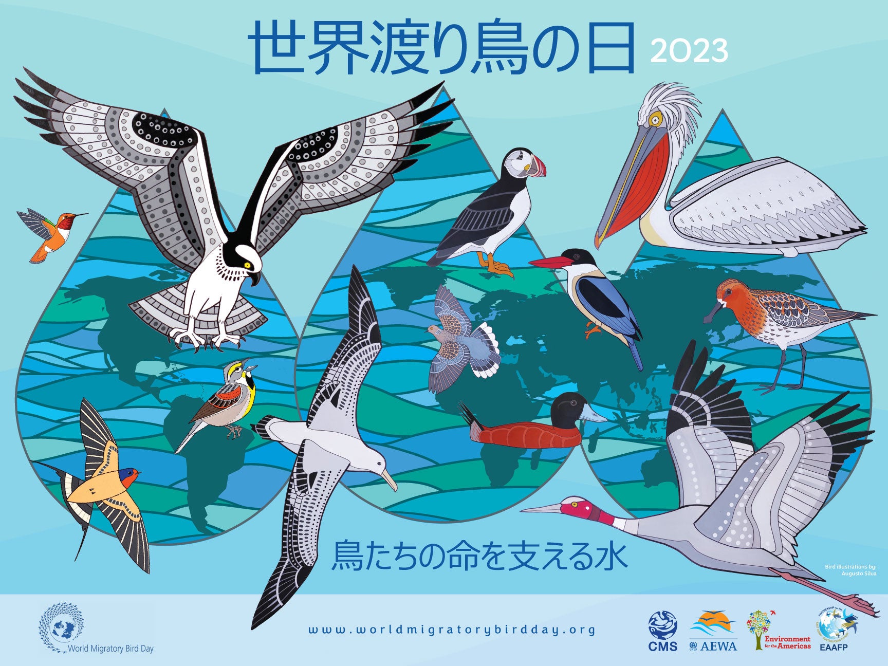 1014́uEn蒹̓ World Migratory Bird Dayv