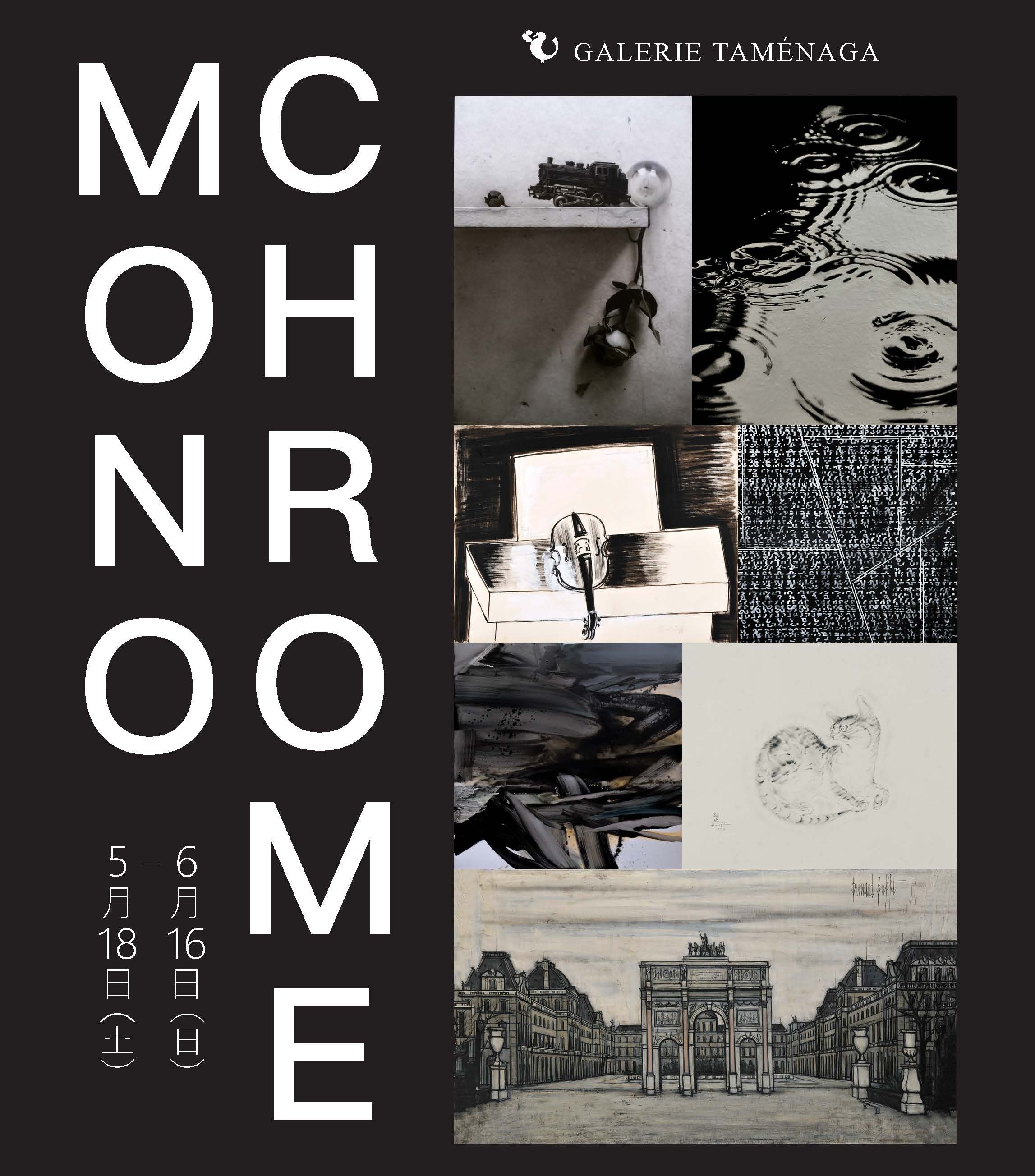 M[߂Ȃs Monochrome(mN[)W tJÂ̂ēi518(y)`Ej