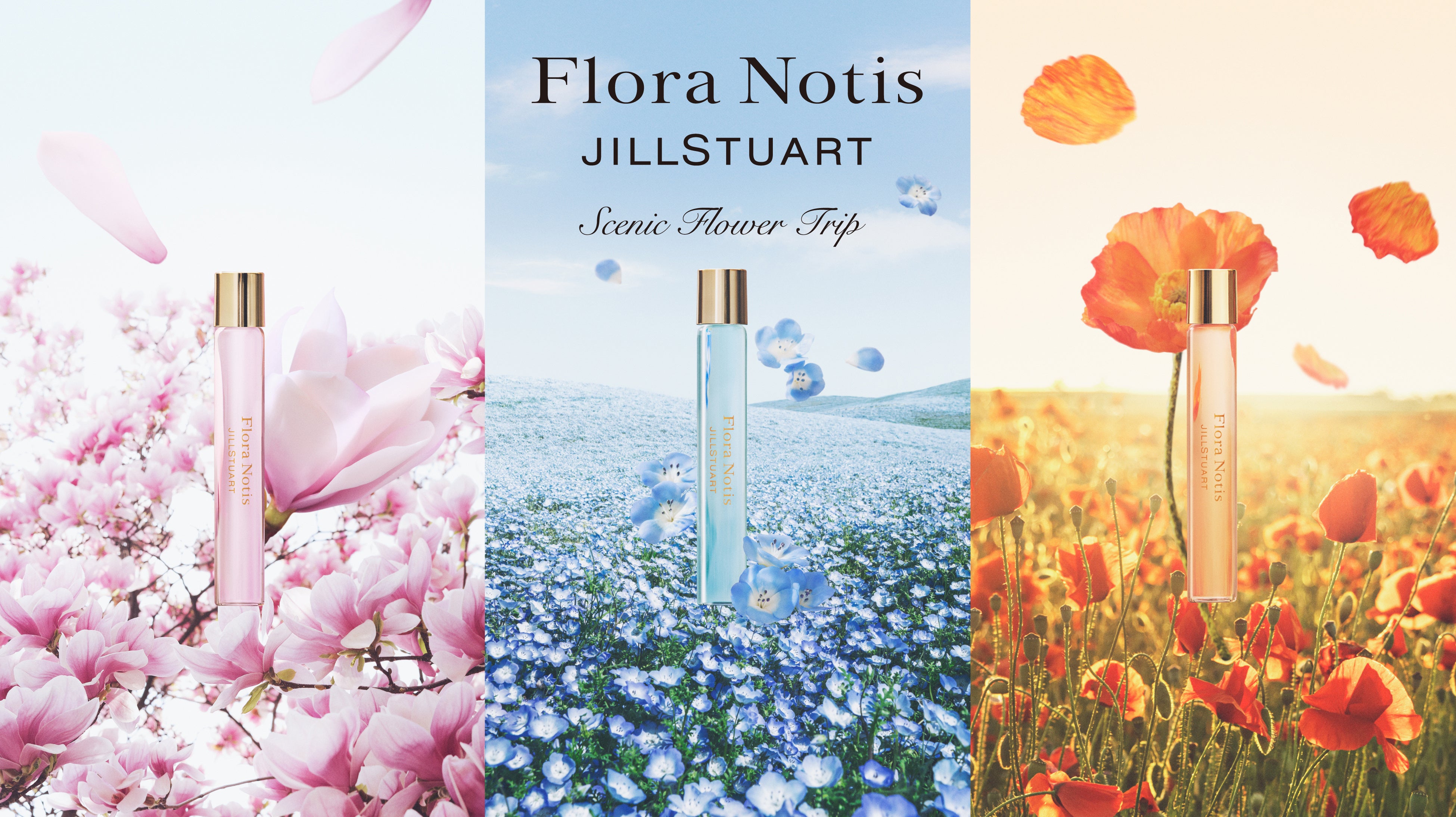 yFlora Notis JILL STUARTzЂƂѓZ΁AuŐS΂ԌiFց@"Flower Trip Collection"蔭