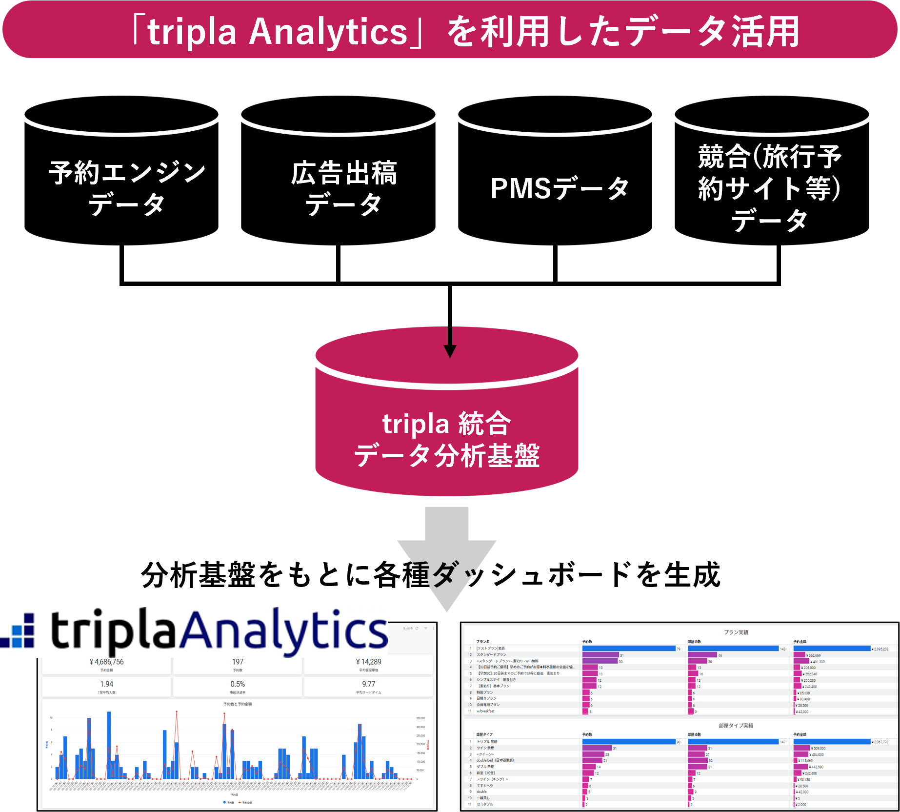 h{݌ɌocɕKvȃf[^T[rXutripla Analyticsv̒񋟊JnI