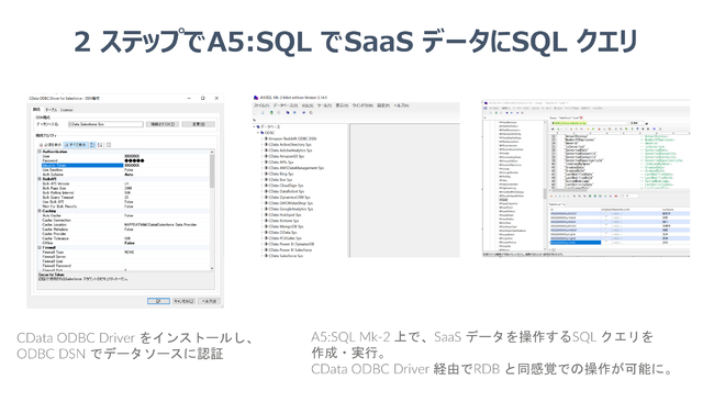 CData Software SQL NGc[wA5:SQL Mk-2x̃v~AX|T[