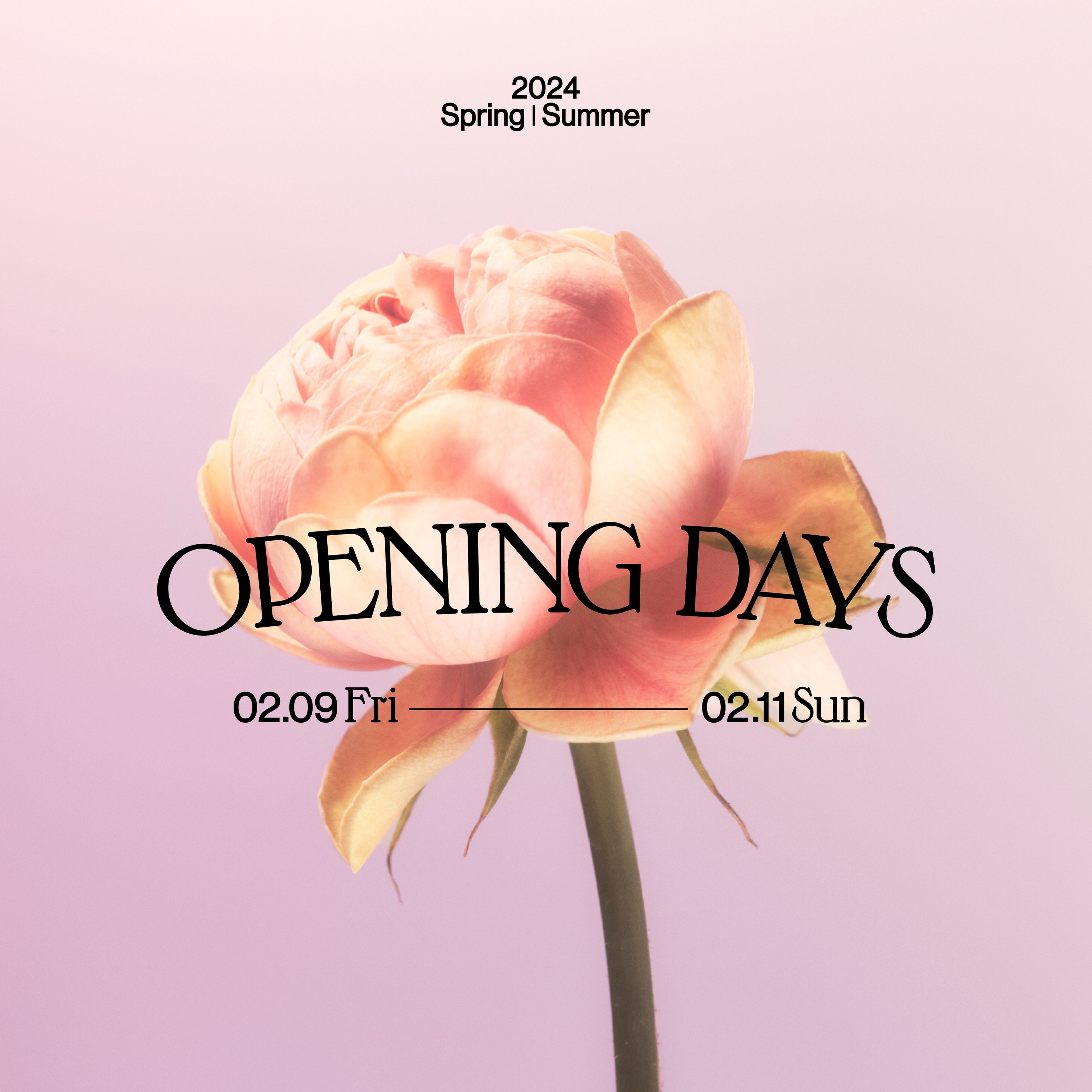 ̃e[}u}eBbNvɂȂ񂾁AACe̔̔t[[NVbvJÁIjE}Vhu2024SS OPENING DAYSiI[vjO fCYjv