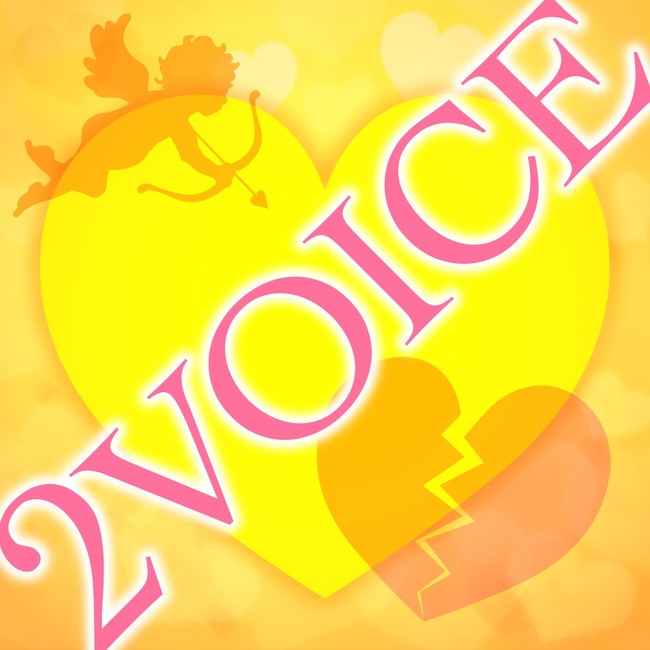 2VOICE(qj͂w~[WbNEZi[fEZNV Vol.10xBD]zMII