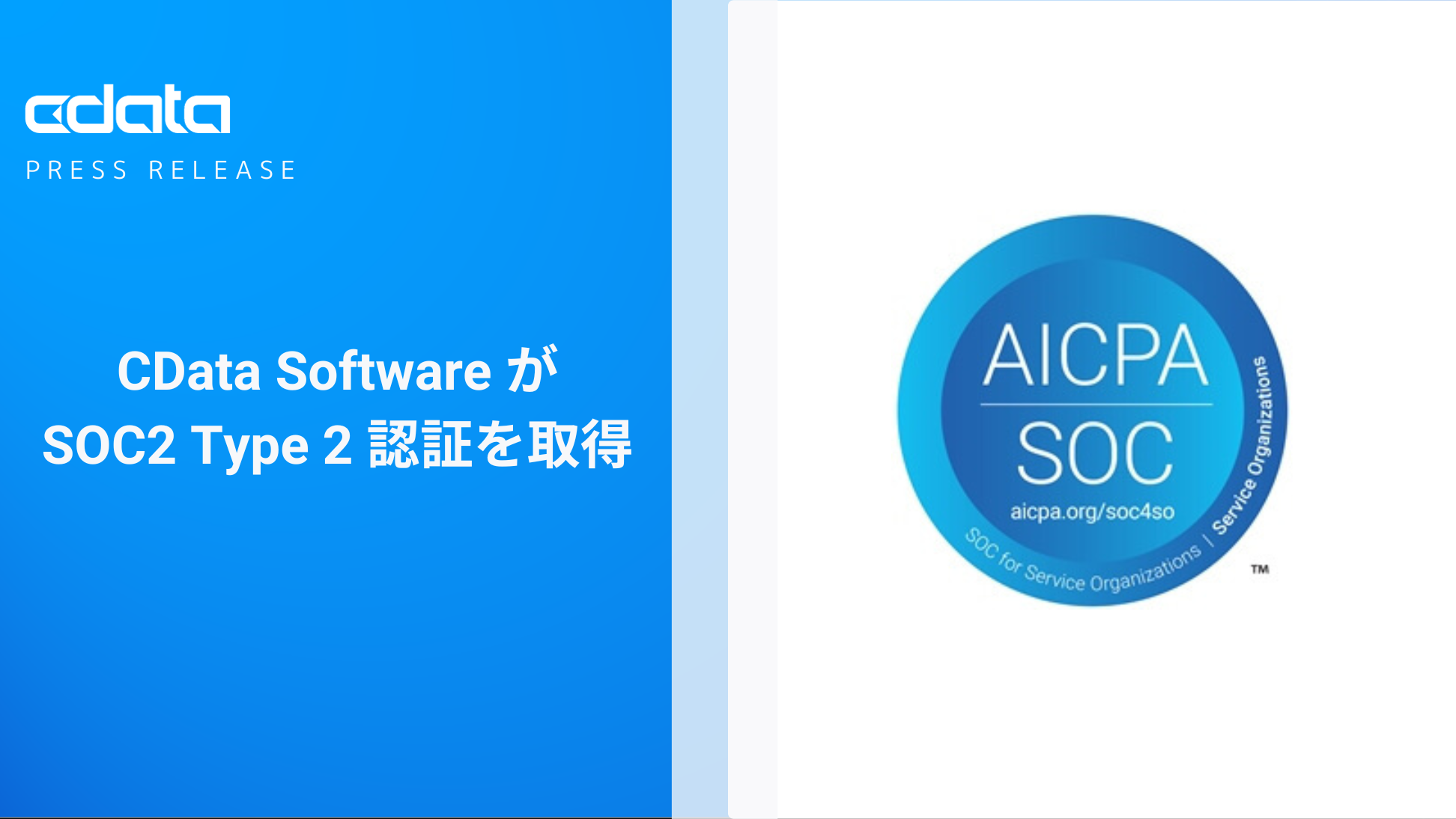 CData Software SOC 2 Type 2 F؂擾