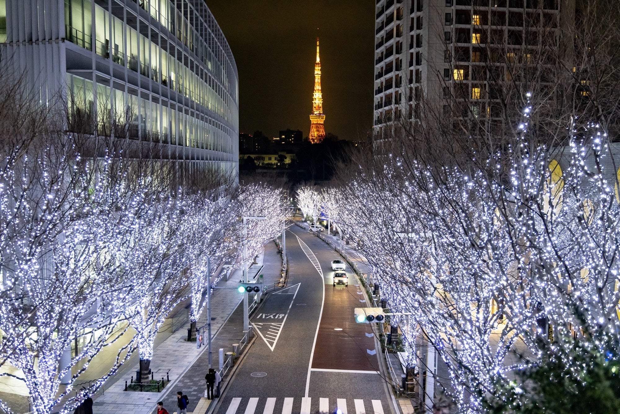 ~̕E400mɓnPu₫C~l[Vv_IwRoppongi Hills Christmas 2024xJ