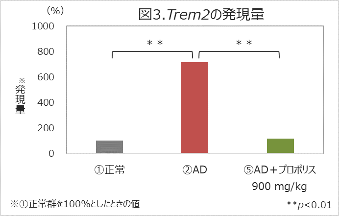 v|XFm@\̒ቺ}p