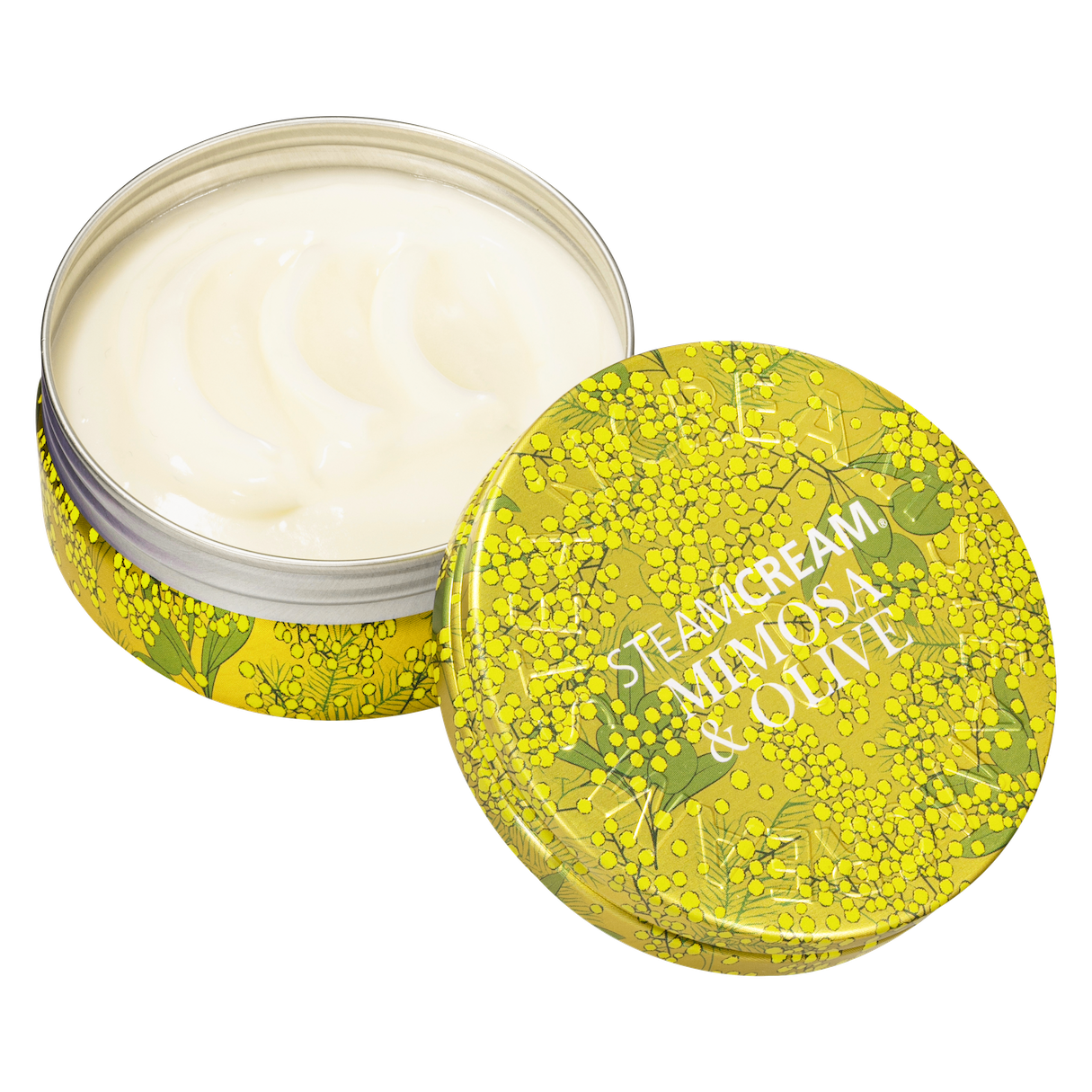 STEAMCREAM̒ԃACeێN[琔ʌuX`[N[ ~U&I[uvƁAϐuX`[N[ ~Xg ~U&CICAvVo