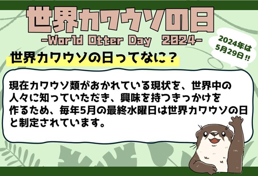 yEJE\̓iWorld Otter Dayj2024IzJE\̖͔XyVCxgJÂ܂B