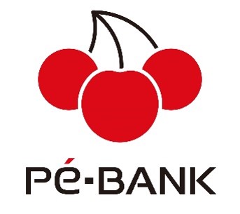 PE-BANKAlNXgCmx[^[xvWFNg𔭑