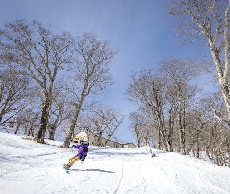 TOKYU SNOW RESORT ƂێɌg݂