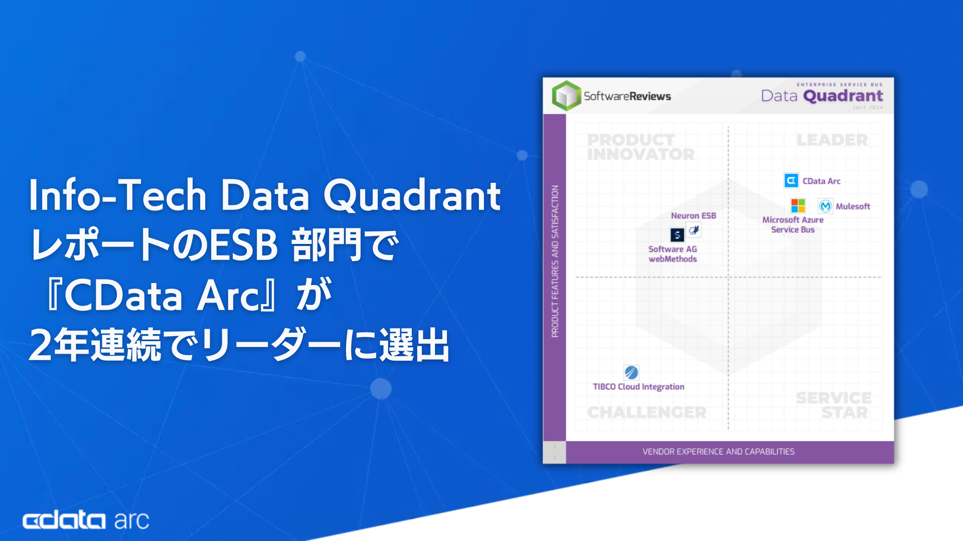 wCData Arcx2NAESB JeS̃[_[ɑIoF2024 Info-Tech Data Quadrant |[g