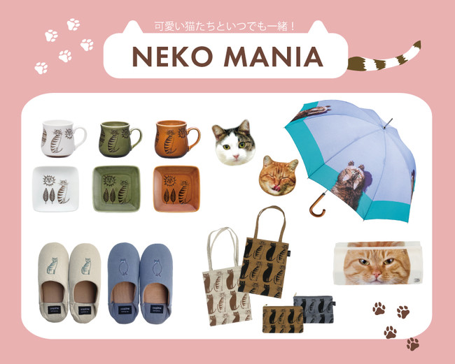 킢˂ƂłꏏIw~OX̂˂ObYV[Y@ "NEKO MANIA" @˂Dւ͂܂I