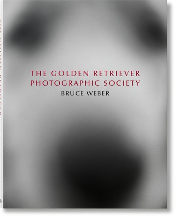 y ӉXzu[XEEF[o[łB肽ʑ́BS[fgo[l̎ʐ^WwThe Golden Retriever Photographic Society.xs