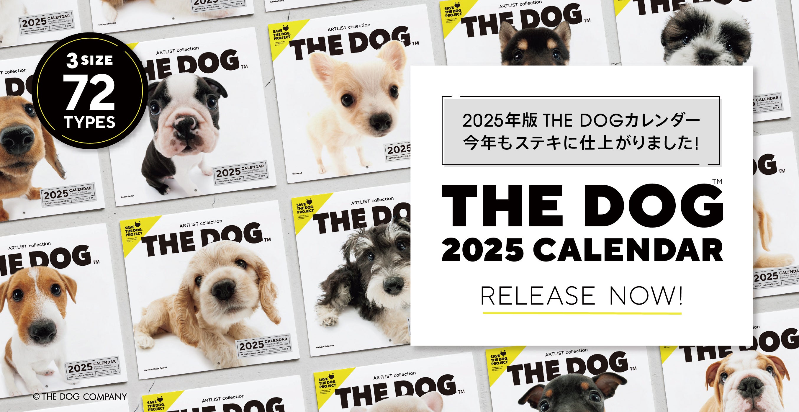 THE DOG(TM)~s[XREWpAی쌢̏Ί炪W܂wSAVE THE DOG 2025J_[x󒍊Jn