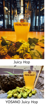 uJuicy HopvXvOo[u[ŁAuYOSANO Juicy HopvXvOo[u[sŐʌ蔭I