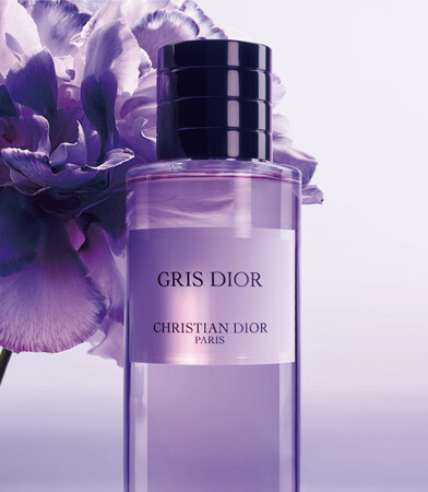 DARE IN GRIS DIOR  WFiEIeKA}Ez[NȂǏW