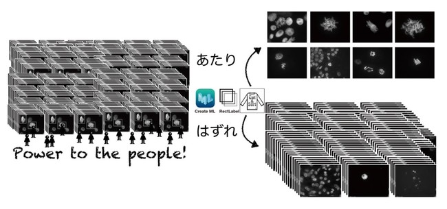 yRwwXCmx[VzOkayama University Medical Research UpdatesiOU-MRUjVol.96s