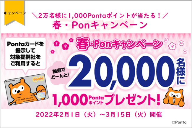 2l1,000Ponta|CgI utEPonLy[v2022N21i΁j`315i΁jJ