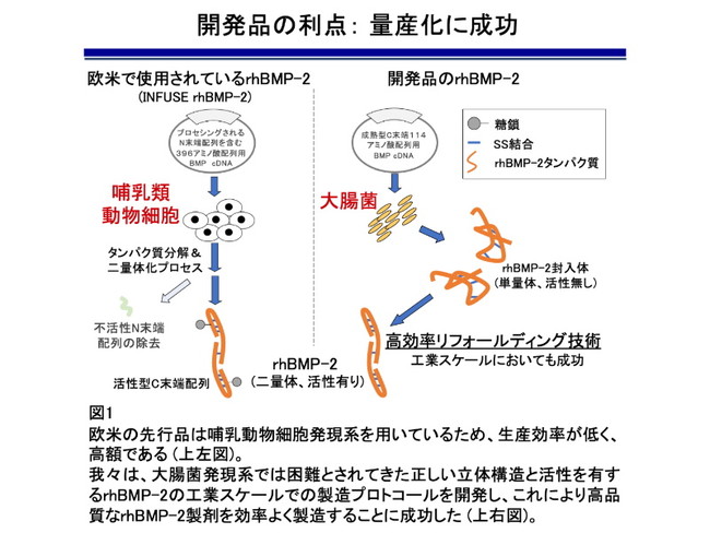 yRwwXCmx[VzOkayama University Medical Research UpdatesiOU-MRUjVol.98s