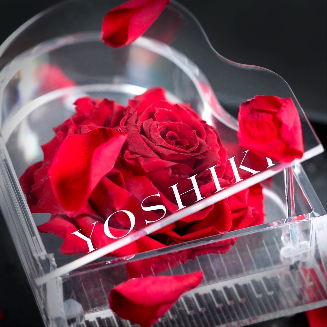 YOSHIKÍgEꍋ؂ȃfBi[V[h̃e[ut[̏iIYOSHIKI OFFICIAL STOREj㏉ƂȂ鐢E󒍔̔