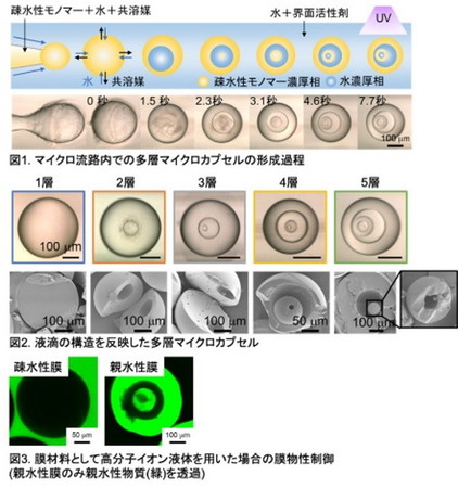 yRwwXCmx[VzOkayama University Medical Research UpdatesiOU-MRUjVol.99s