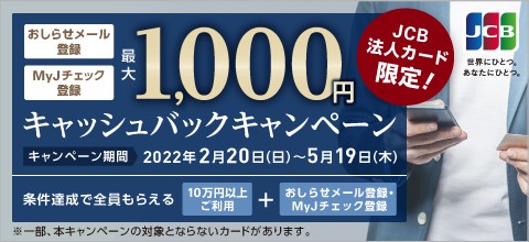 JCBAu@lJ[hI点[EMyJ`FbNo^ōő1,000~LbVobNIvLy[220ijJn