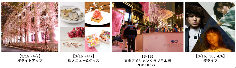 t炵OCxgN{ɏW@SAKURA FES NIHONBASHI 2024 J