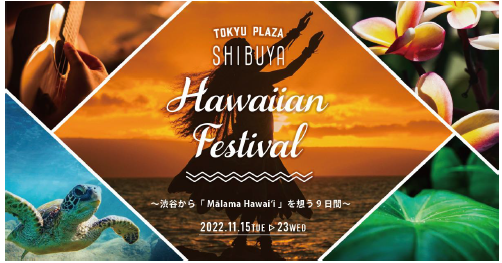 JCBAu}vUaJHawaiian Festivalvɋ^