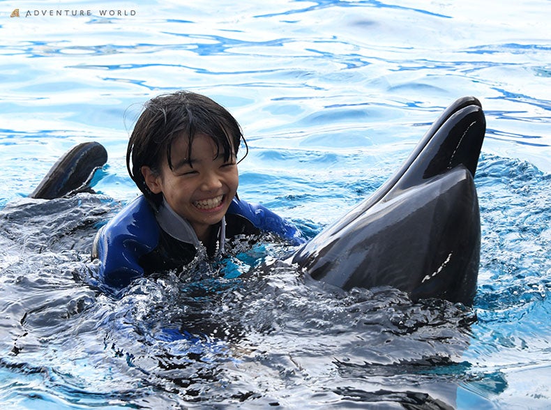 CJƉjIӂꂠXC~OTNԂɃAbvf[gčĊJuSwimming with Dolphin`Deep emotion`vJÂ܂I