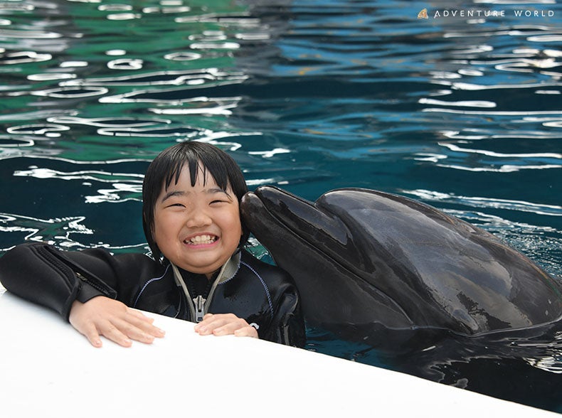 CJƉjIӂꂠXC~OTNԂɃAbvf[gčĊJuSwimming with Dolphin`Deep emotion`vJÂ܂I