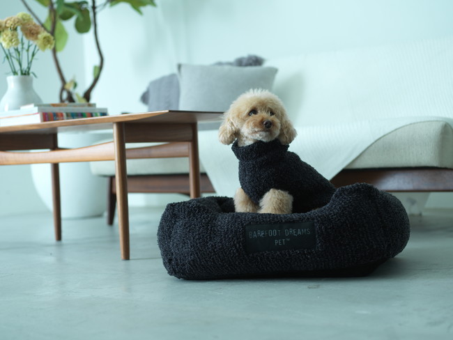 【PET】BAREFOOT DREAMSからPet Bed & Ribbed Pet Sweaterが発売！