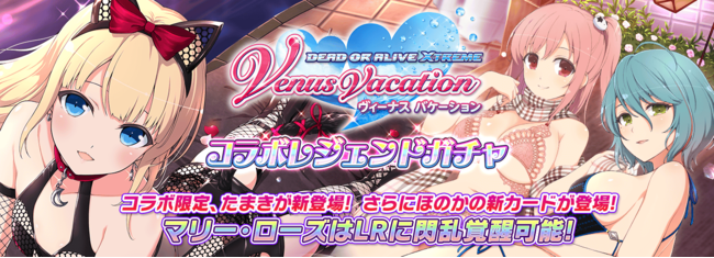 wVmr}X^[ MJO NEW LINKxwDEAD OR ALIVE Xtreme Venus VacationxƂ̃R{3eJn!