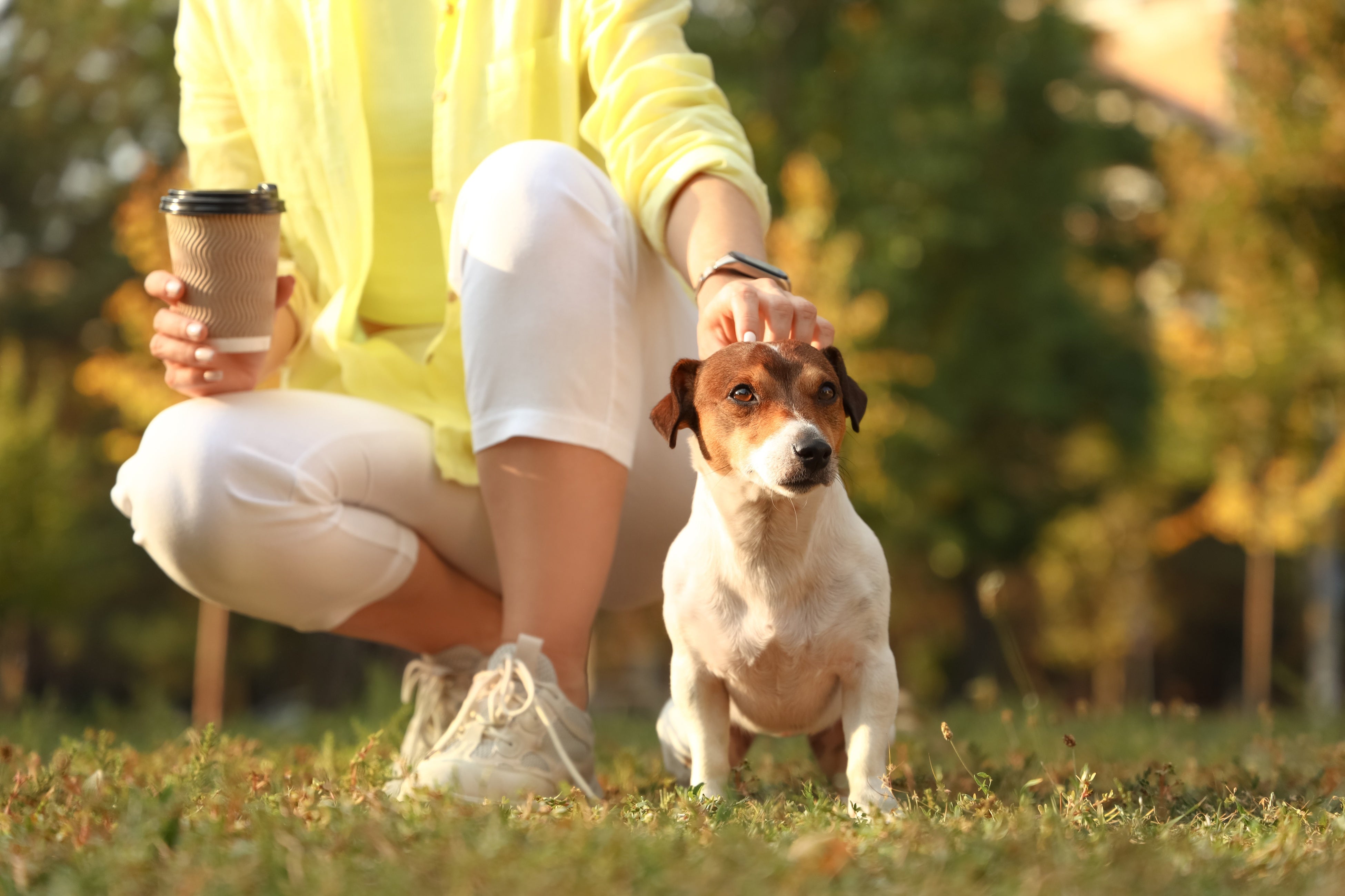 tH[][gCP H߂CPŁAƂ̎vouAutumn Doggycation in Shuzenji vJDOG YOGAыʃNtǧAQ[Ȃ