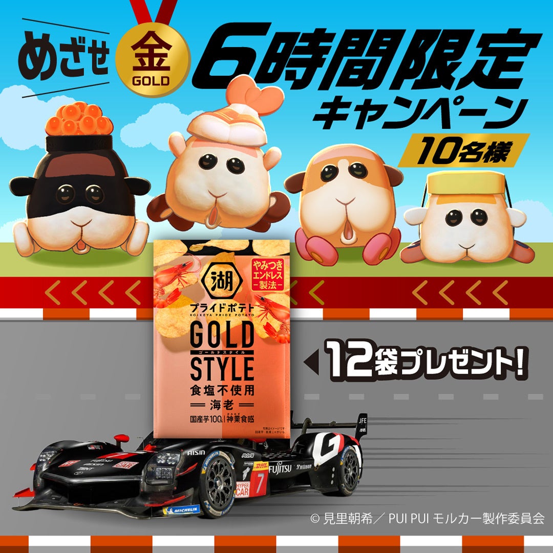 PUI PUI J[ ~ Βr ~ TOYOTA GAZOO RacingR{1e uΒrvCh|eg GOLD STYLE Hsgp CVvI6ԌLy[{