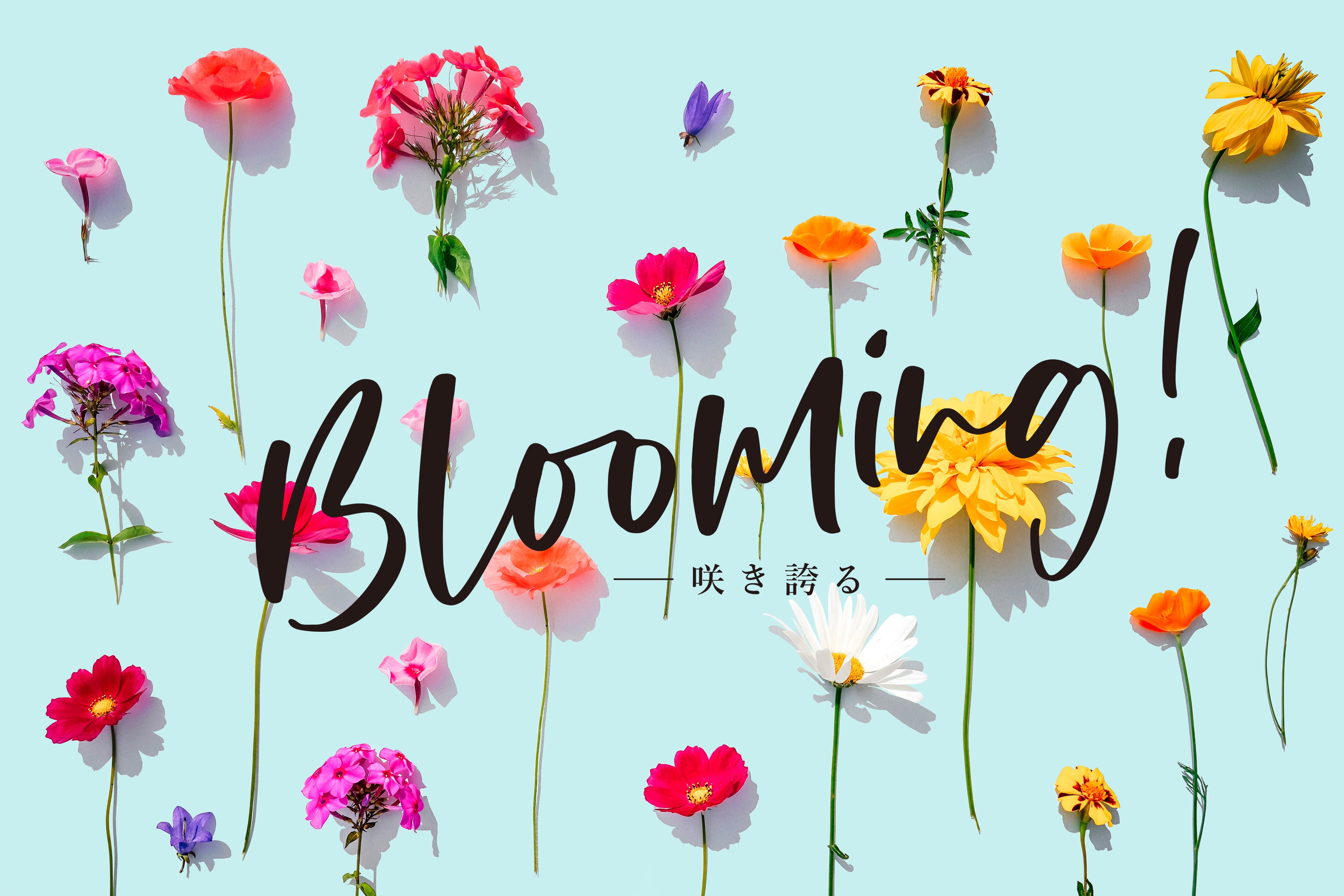 }߂{XwHANKYU Mama Communityx̏Aqă}}g݁wBlooming! -炫ւ]xJÁI