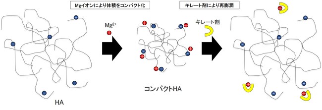 AqA_̑̐ςRg[ZpJ@`Ő[Shape-Shifting HAZp̐ʂ𑝉`