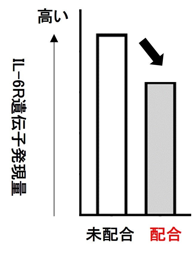 A̎Oł̃V~XN𑝉邱Ƃ𔭌A̗}@J `V~ʓL̖ǂ̐̂𖾂AOƉ̗ɑΉ`