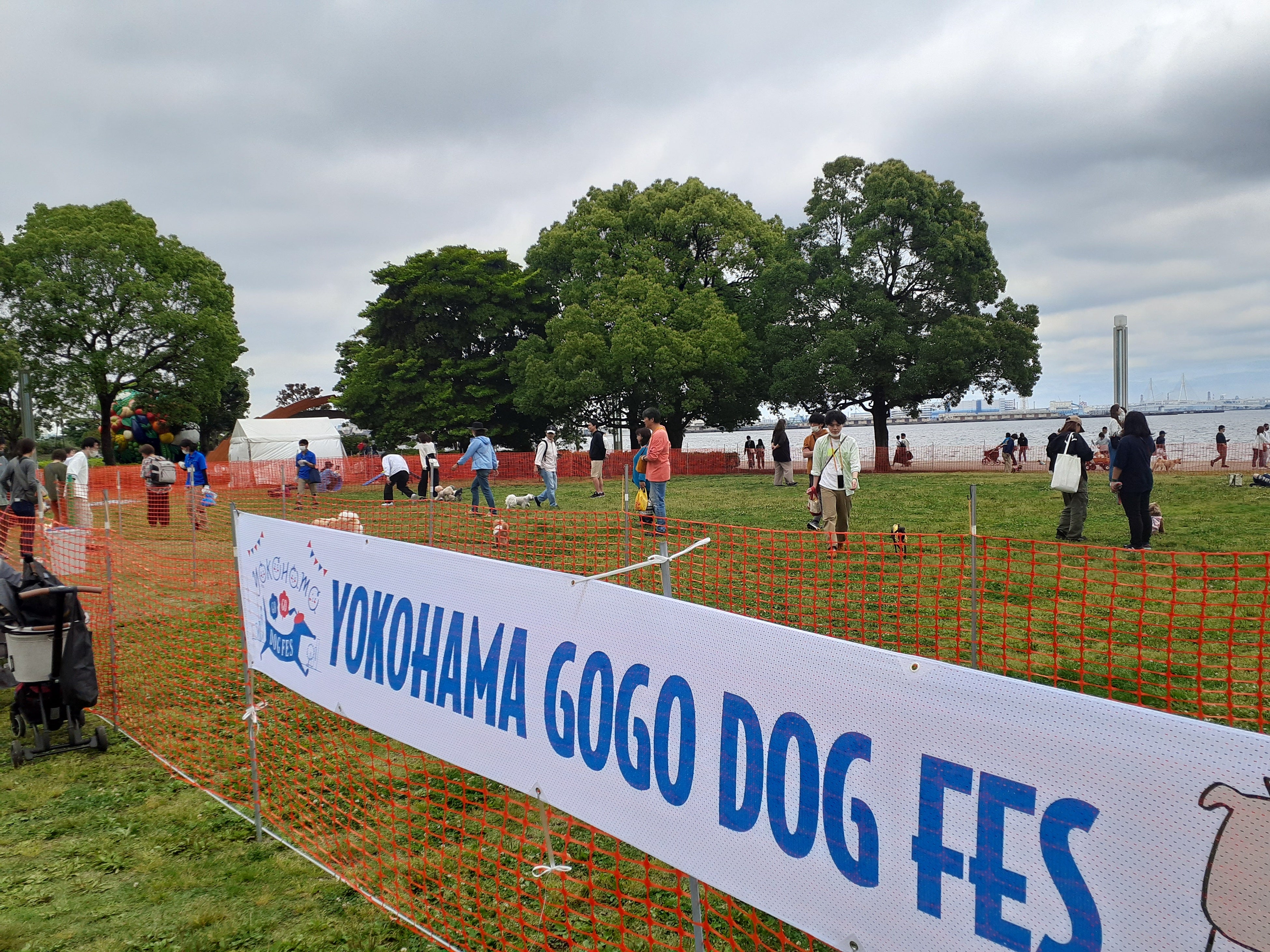 wYOKOHAMA GOGO DOG FES 2023 Hxi1021E22@lEՍ`p[NjVRecJÓȅڍ׌I